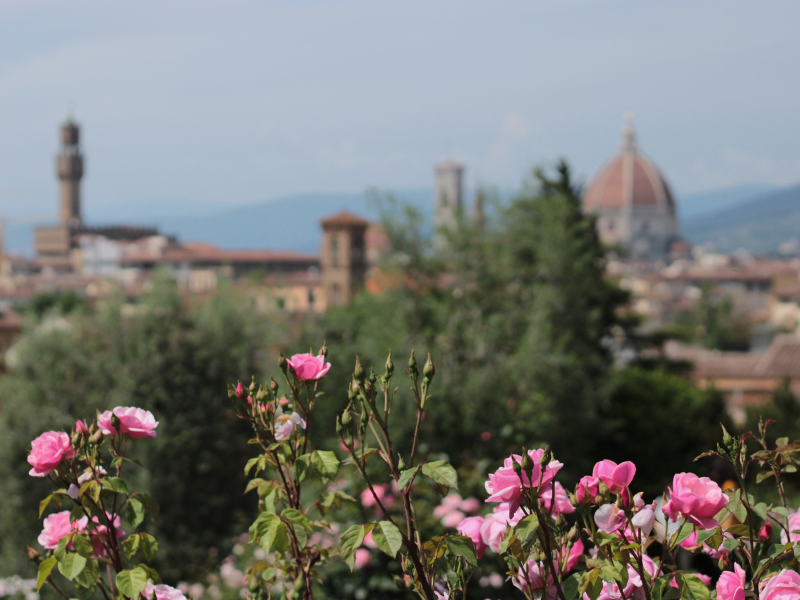 giardino delle rose
